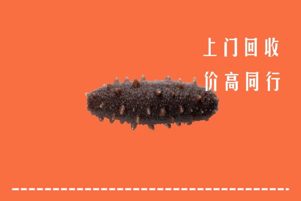 高价求购：襄城县回收海参