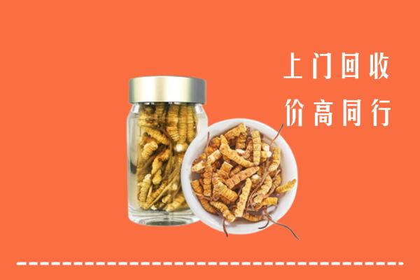 襄城县回收冬虫夏草
