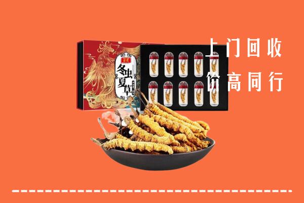 襄城县回收虫草